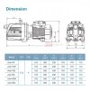 LEO AJM110 SELF-PRIMING JET WATER PUMP Pam Air [1 PHASE] (1.5HP/100LMIN/32MM X 25MM)