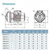 LEO AMS370/2.2 STAINLESS STEEL CENTRIFUGAL PUMP Pam Air Rumah Kolam [3 PHASE] (3HP/520LMIN)