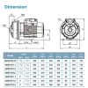 LEO AMS210/1.5 STAINLESS STEEL CENTRIFUGAL PUMP Pam Air Rumah Kolam [3 PHASE] (2HP/290LMIN)