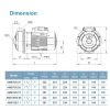 LEO AMSM70/0.55 STAINLESS STEEL CENTRIFUGAL PUMP Pam Air Rumah Kolam [1 PHASE] (0.75HP/80LMIN)