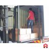 DACHO 16MM 750W HEAVY DUTY DRILL PRESS MACHINE
